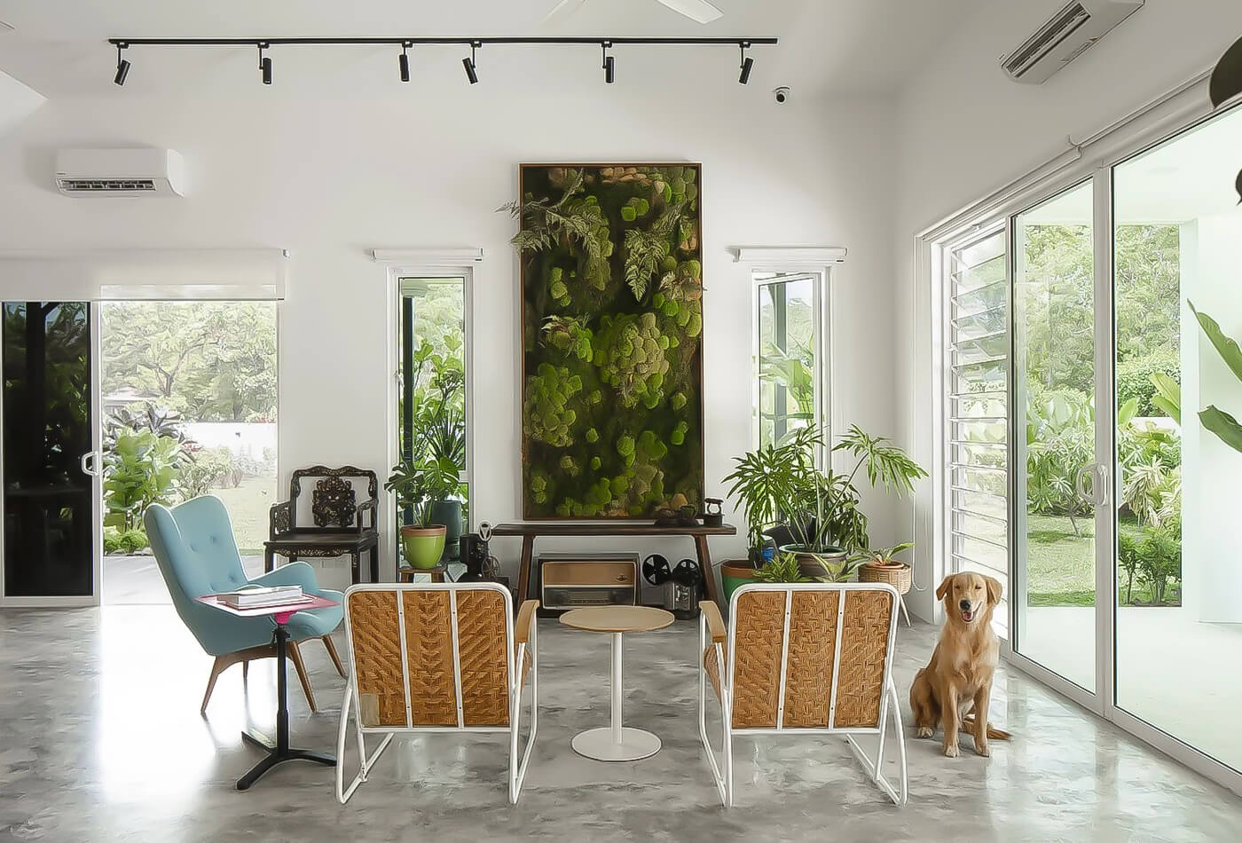 Pet-friendly Design: Home That Welcomes Four-legged Friends