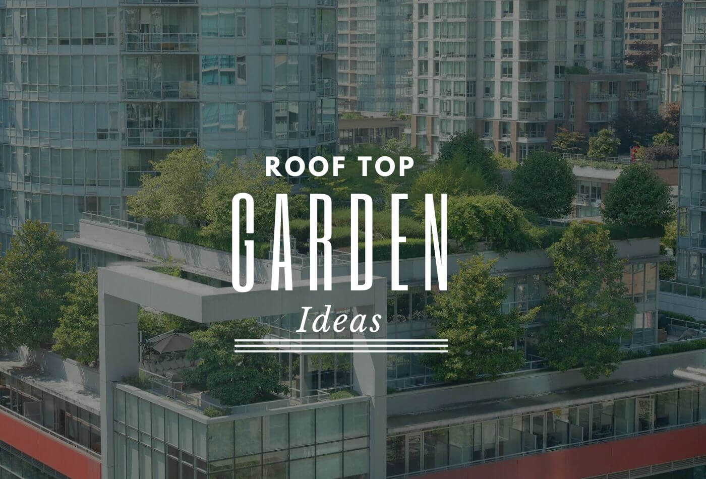 Top Rooftop Garden Designs To Create Majestic Verdant Edens