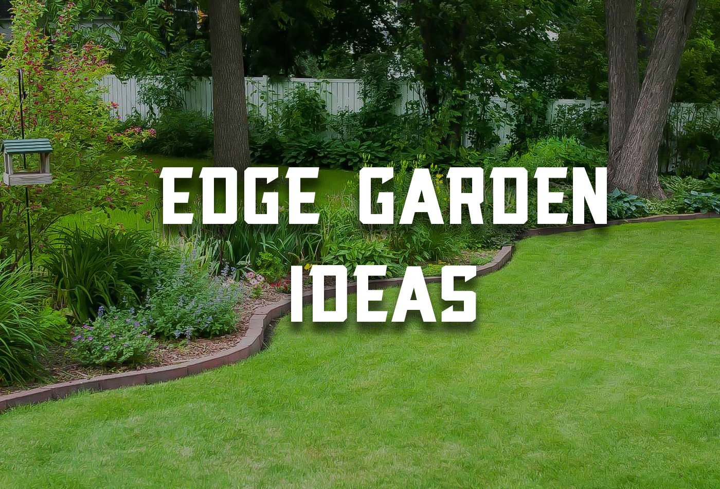 Creative Edge Garden Ideas for a Stunning Outdoor Space