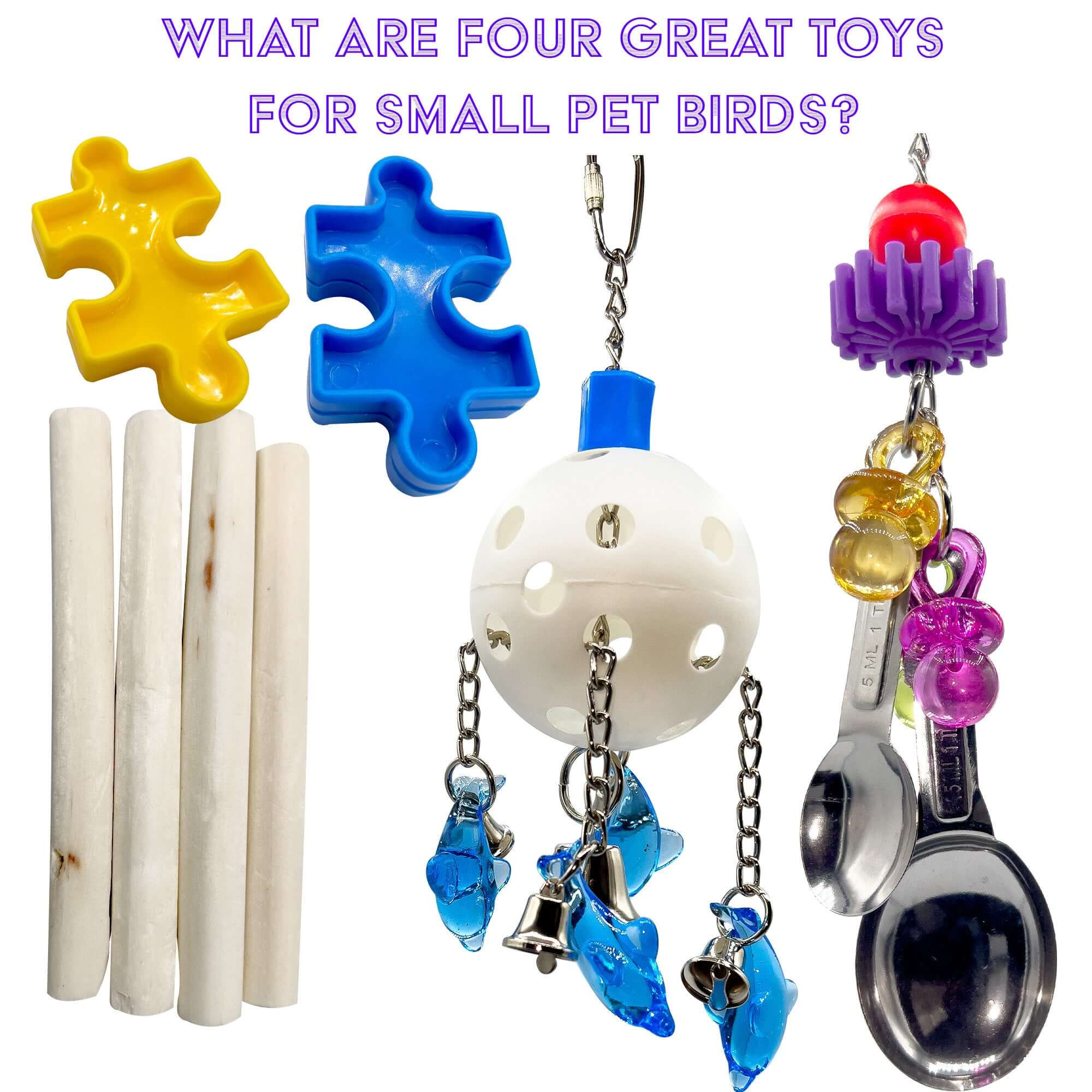 What are four great bird toys for small pets?