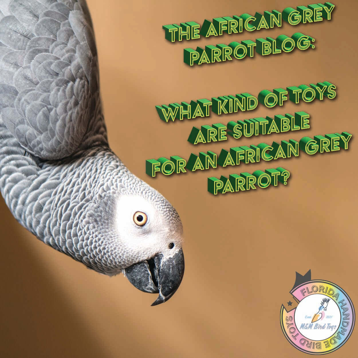 What Kind of Toys Are Suitable for African Grey Parrots?