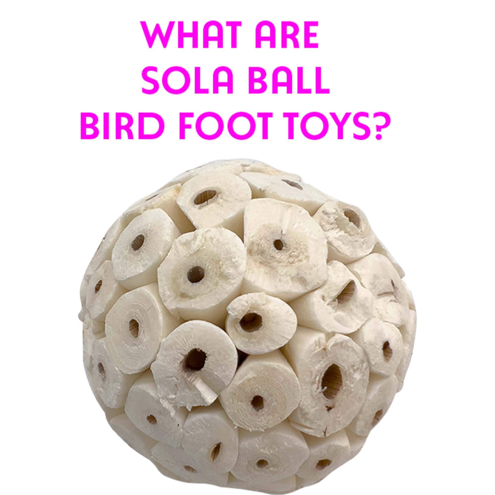 What are Sola Bird Ball Foot Toys