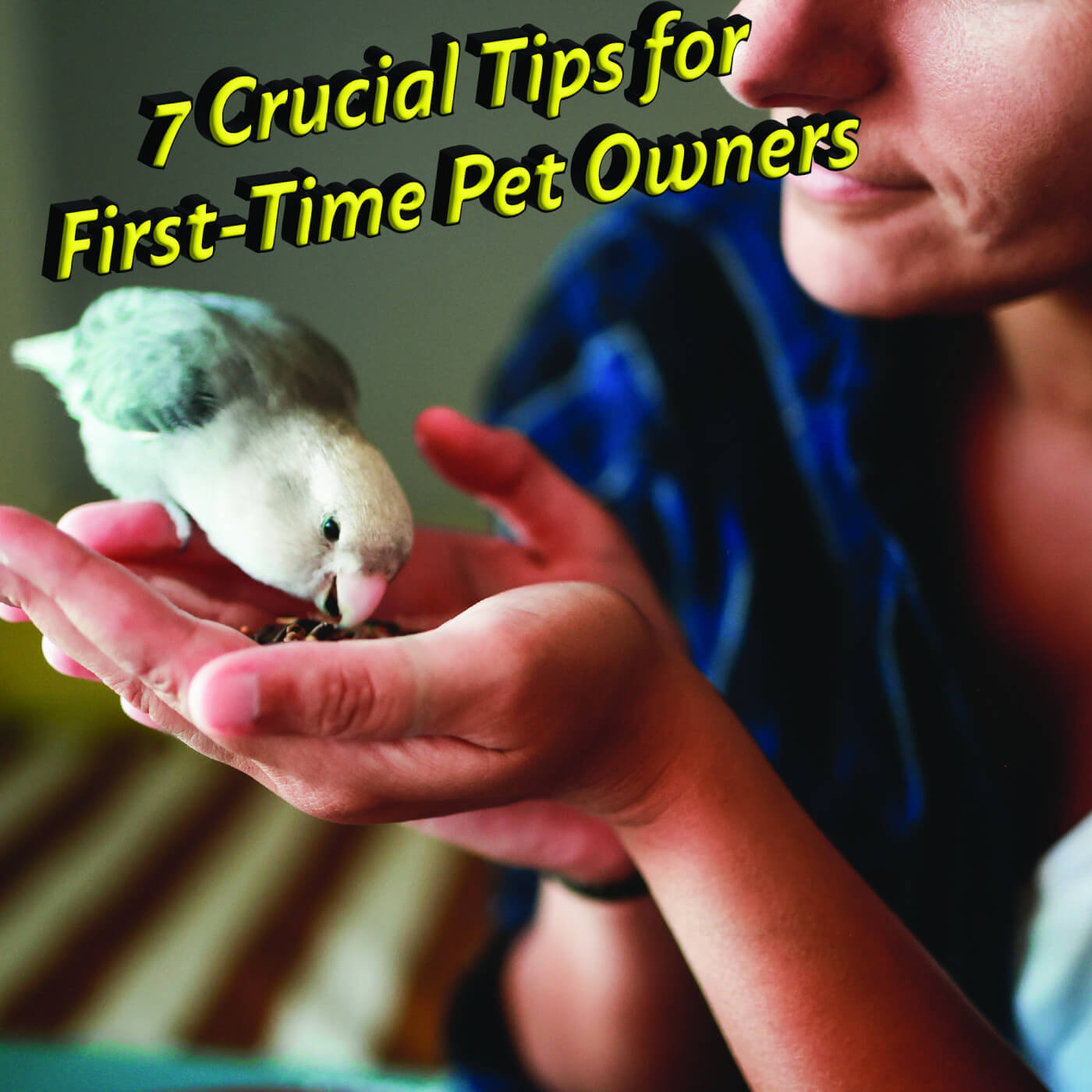 7 Crucial Tips for First-Time Pet Owners