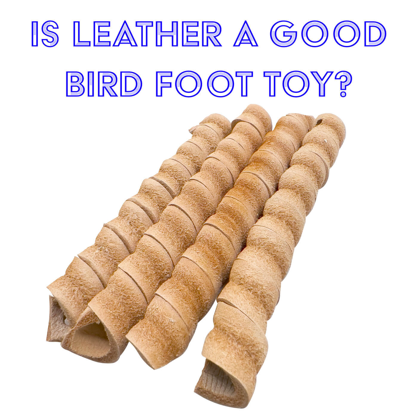 Is leather a good bird foot toy?