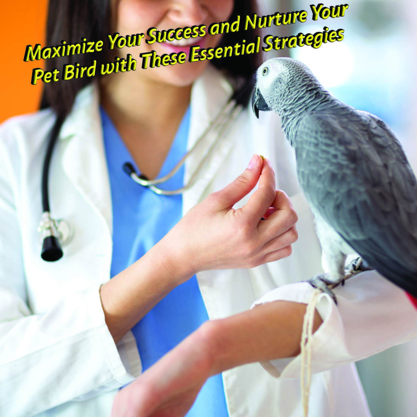 Maximize Your Success and Nurture Your Pet Bird with These Essential Strategies