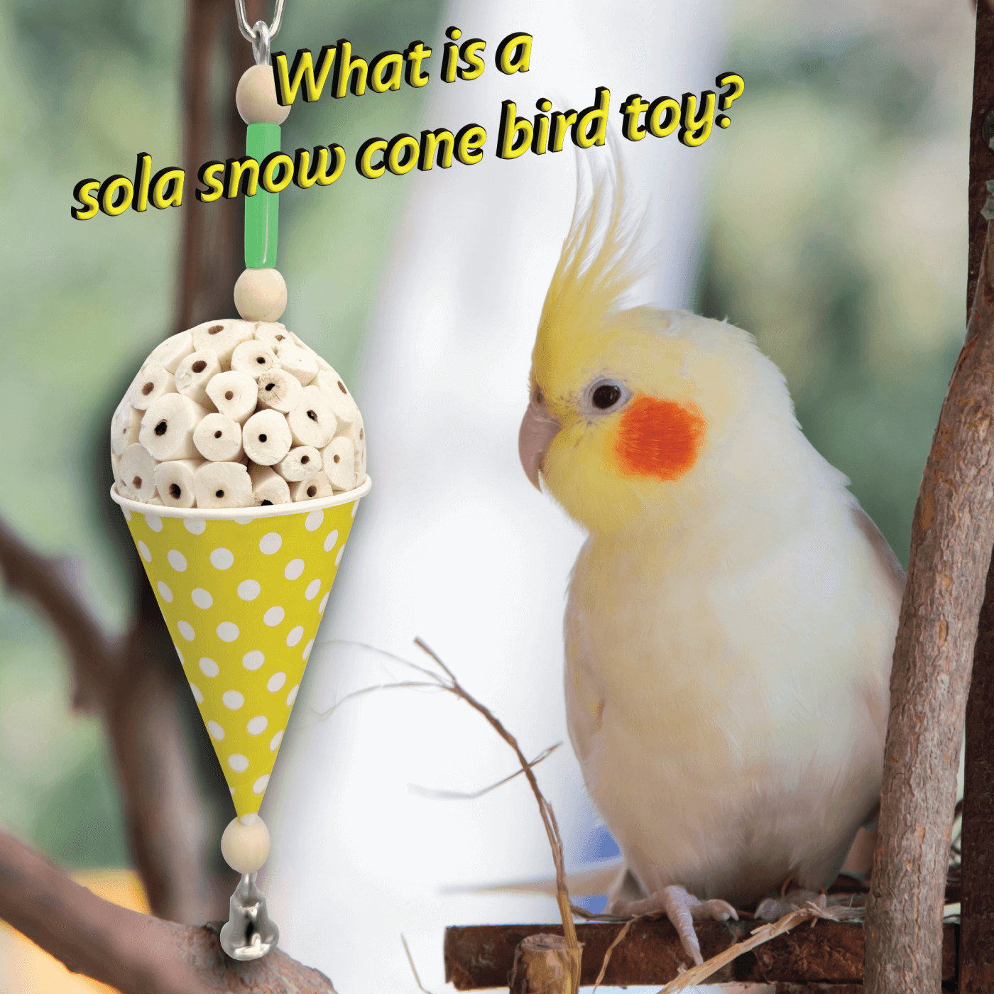 What is a sola snow cone bird toy?