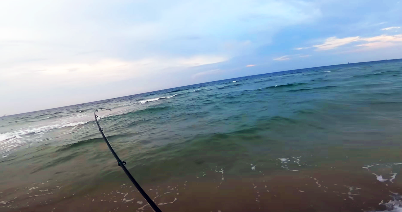 TOPWATER Fishing Off The Beach!! 