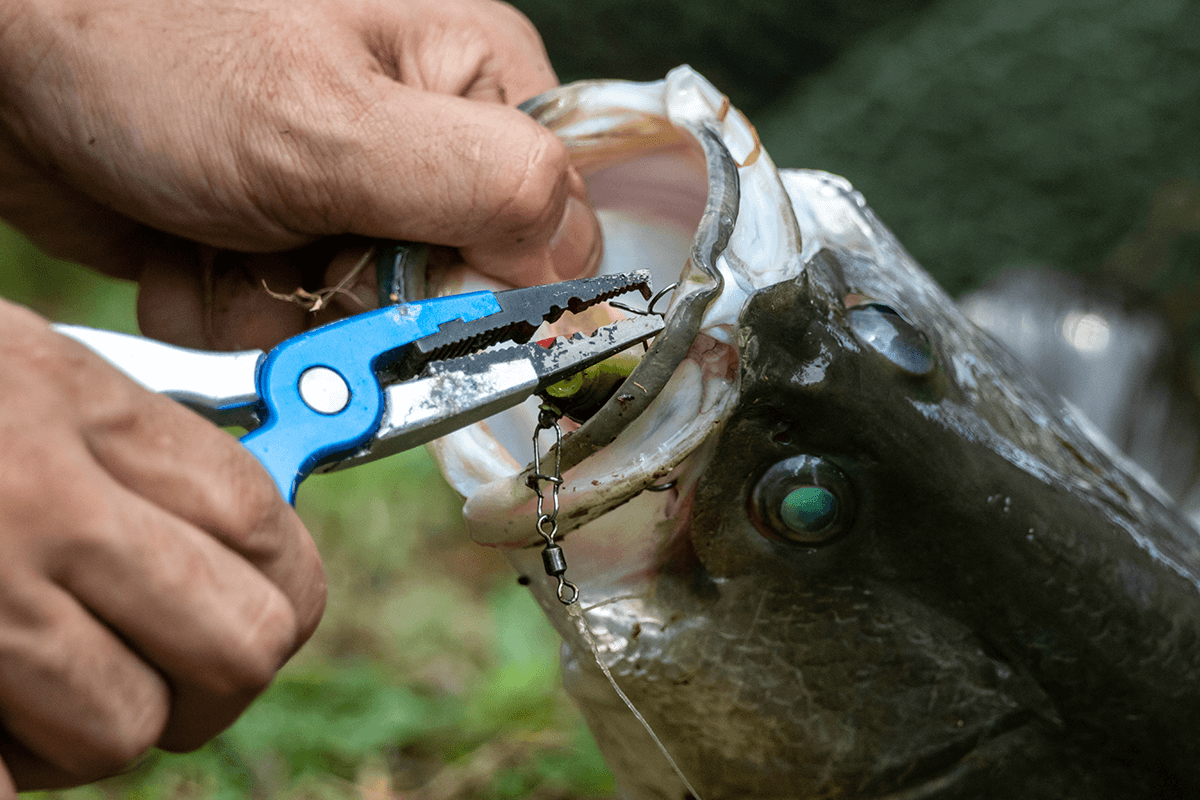 Ninja Tackle's Dagger Fishing Rod Strikes with Precision – Beach