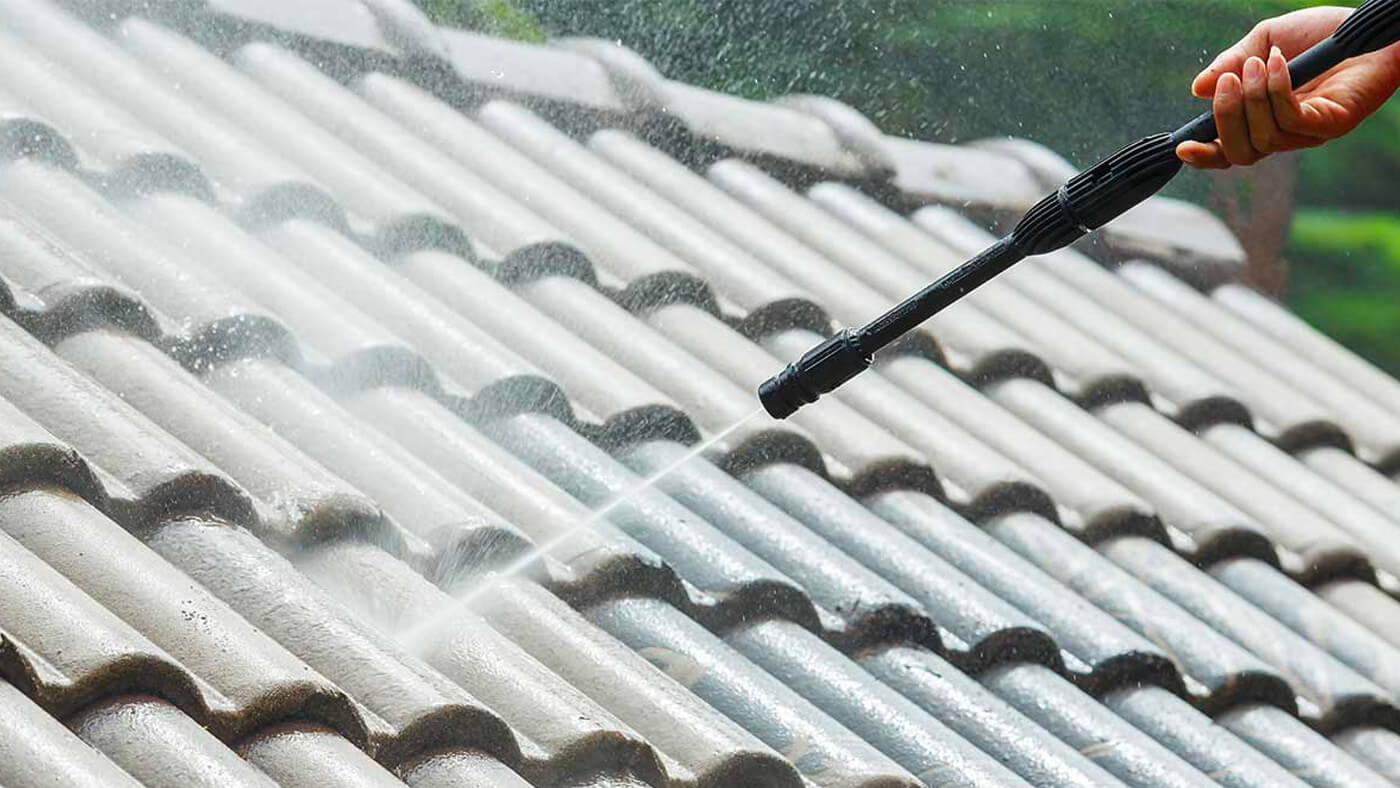 Why You Should Keep Your Roof Clean