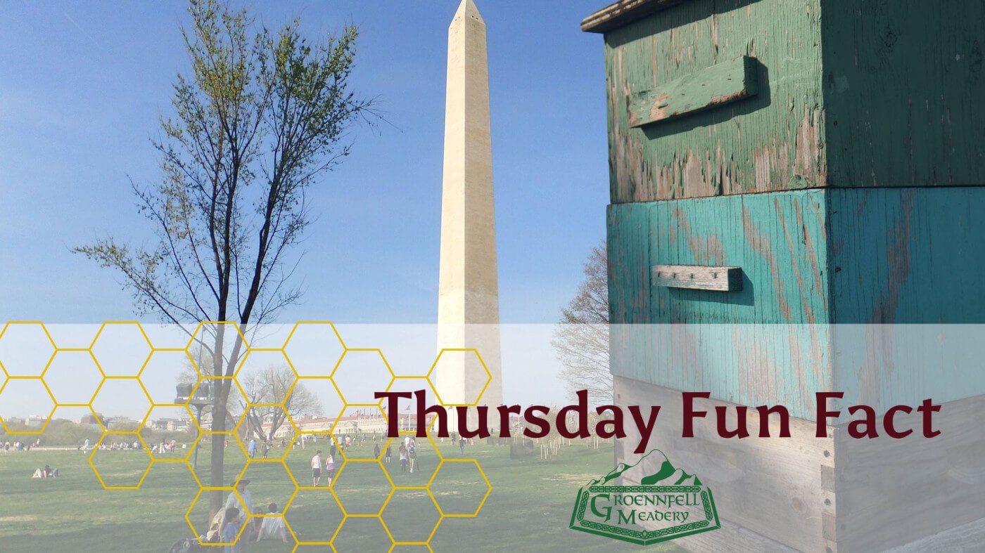 All the Bees In One Hive - Thursday Fun Fact 2023-06-01