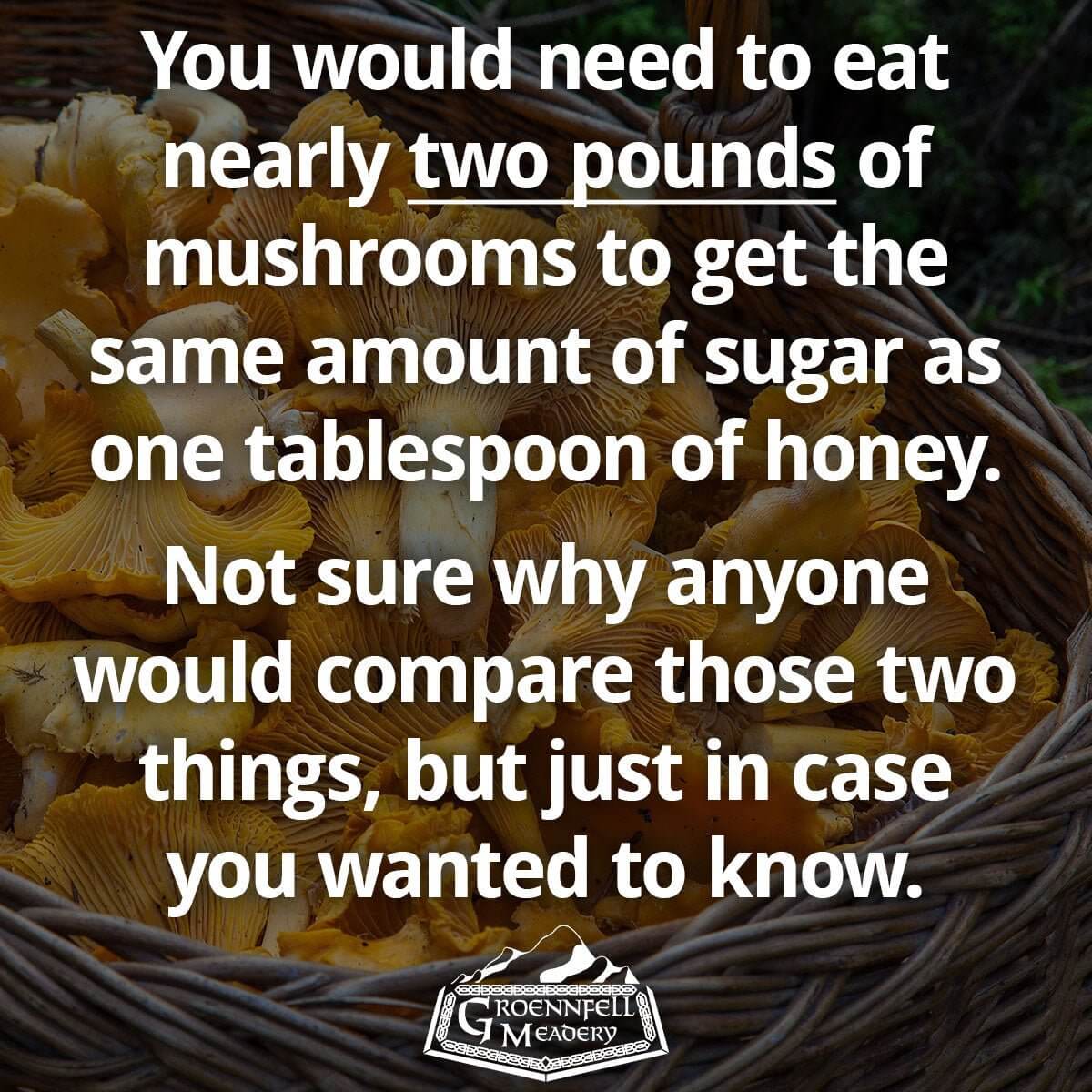 Thursday Fun Fact 12-16: Mushrooms