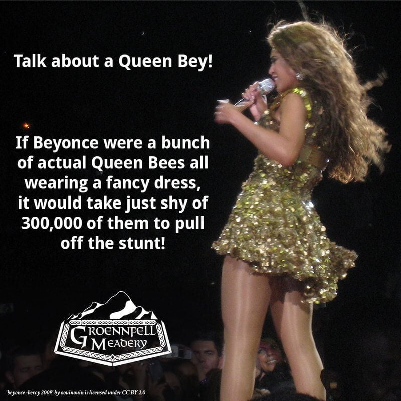 THURSDAY FUN FACT 12-17: QUEEN BEY