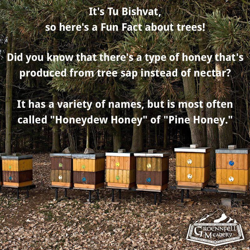 THURSDAY FUN FACT 1-28: FOREST HONEY