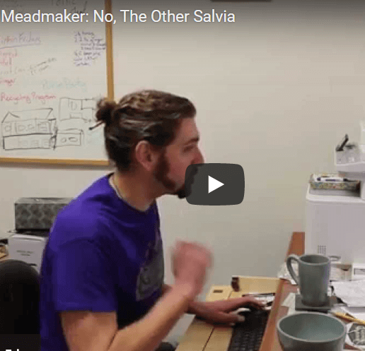 Ask the Meadmaker Ep. 8 – No, The Other Salvia