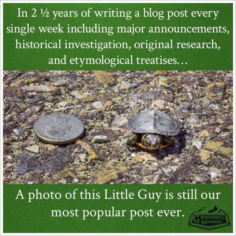 Thursday Fun Fact 8-6: Tiny Turtle