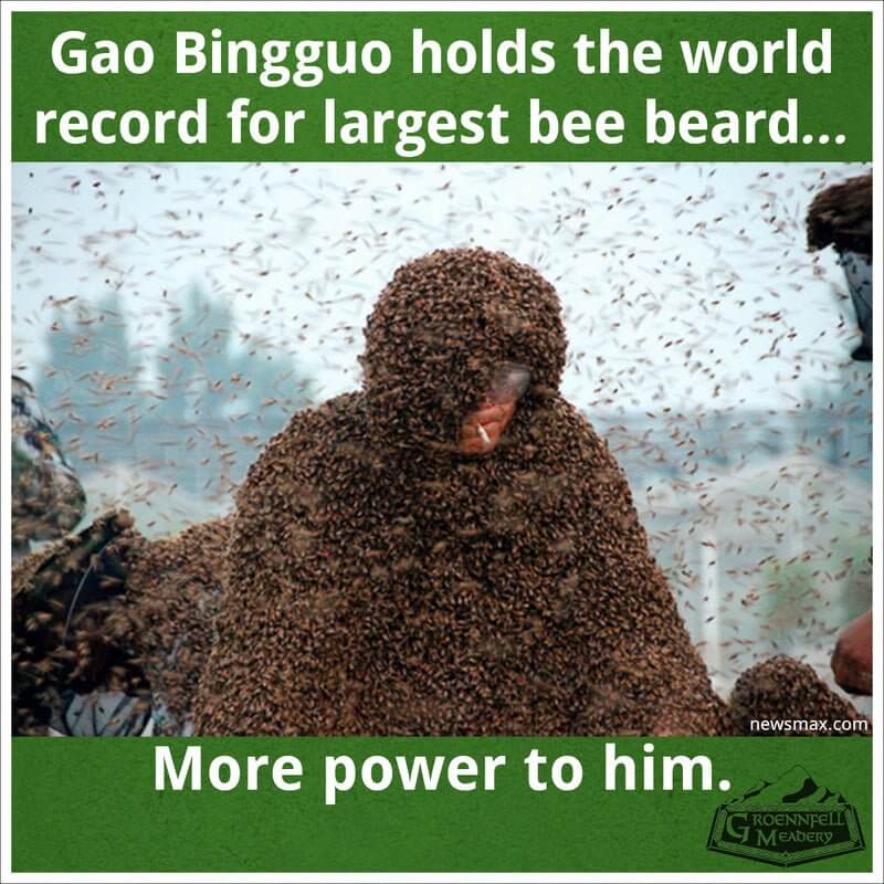 Thursday Fun Fact 8-13: Bee Beard