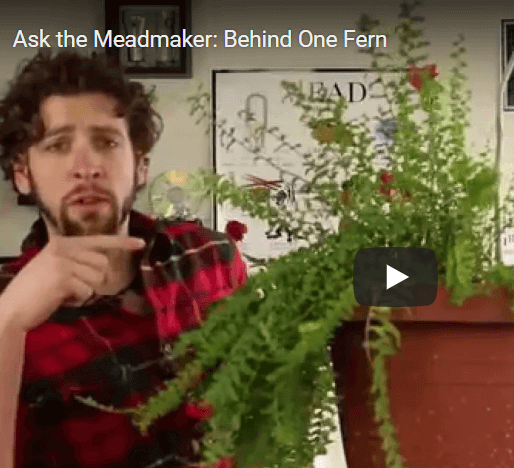 Ask the Meadmaker Ep.34 – Behind One Fern