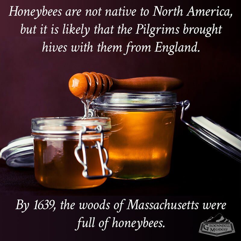 Thursday Fun Fact 11-26: The Pilgrims’ Bees