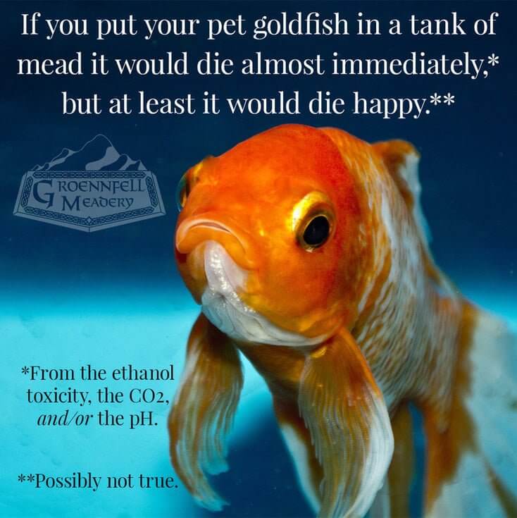 Thursday Fun Fact 5-5: Goldfish