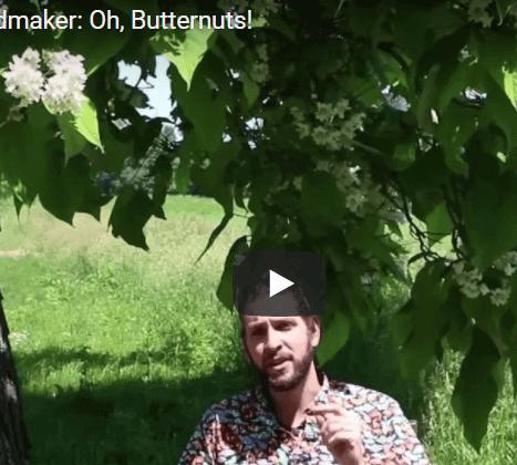 Ask the Meadmaker Ep. 64 – Oh, Butternuts!