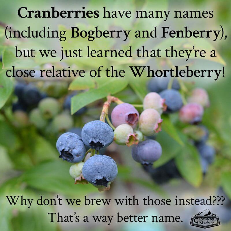 Thursday Fun Fact 11-23: Whortleberries