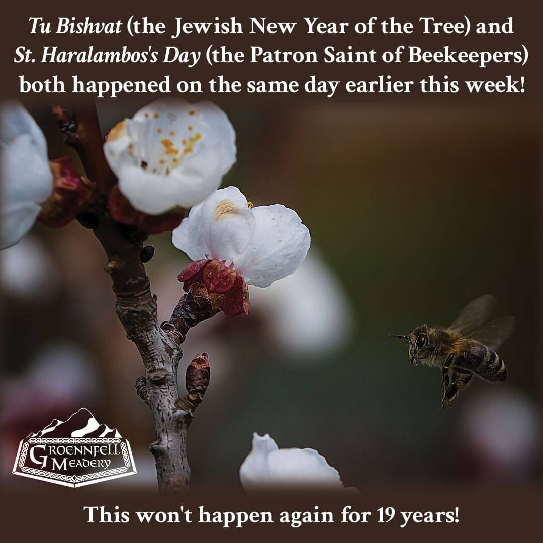 Thursday Fun Fact 2-13: Trees and Bees