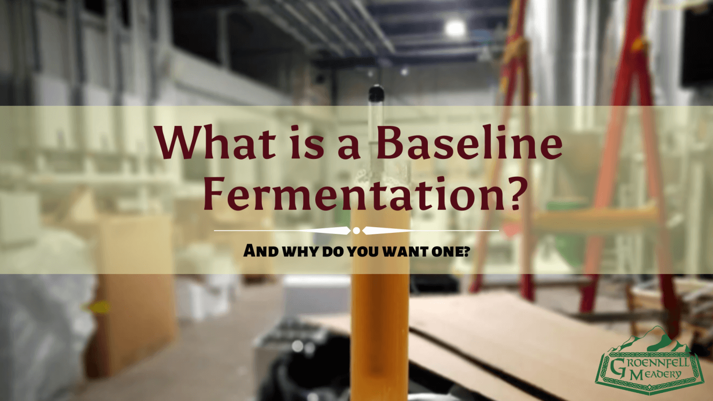 What Is a Baseline Fermentation and Why Do You Want One?