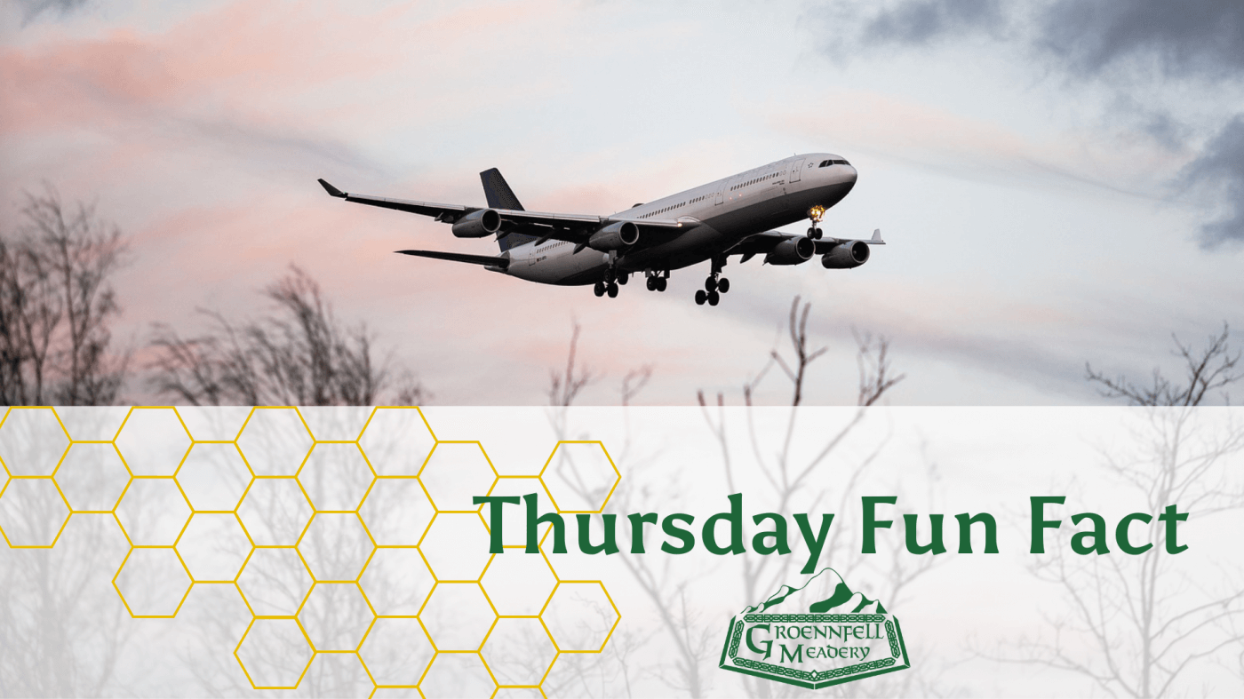 Bee 747 - Thursday Fun Fact 8-25