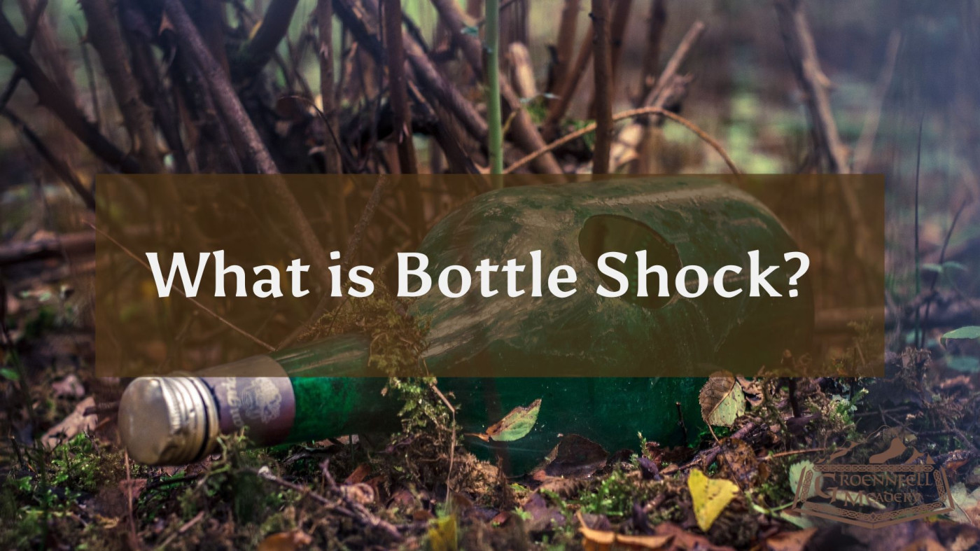 What Is Bottle Shock and What Can You Do About It? – Groennfell