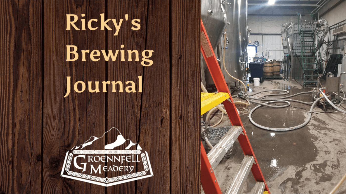 Ricky's Mead Brewing Journal - Week of 10/31 - Brewing Again