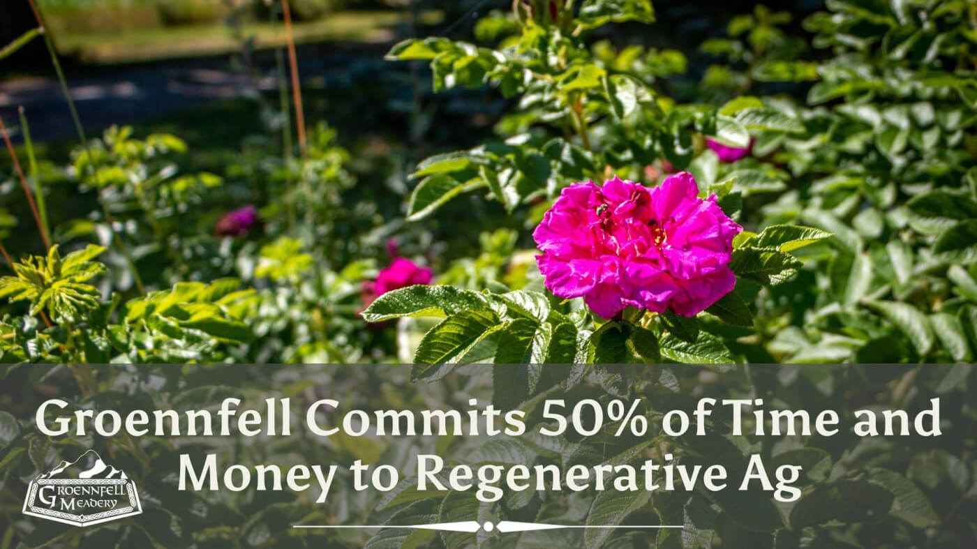 Groennfell Commits 50% of Time and Money to Regenerative Ag