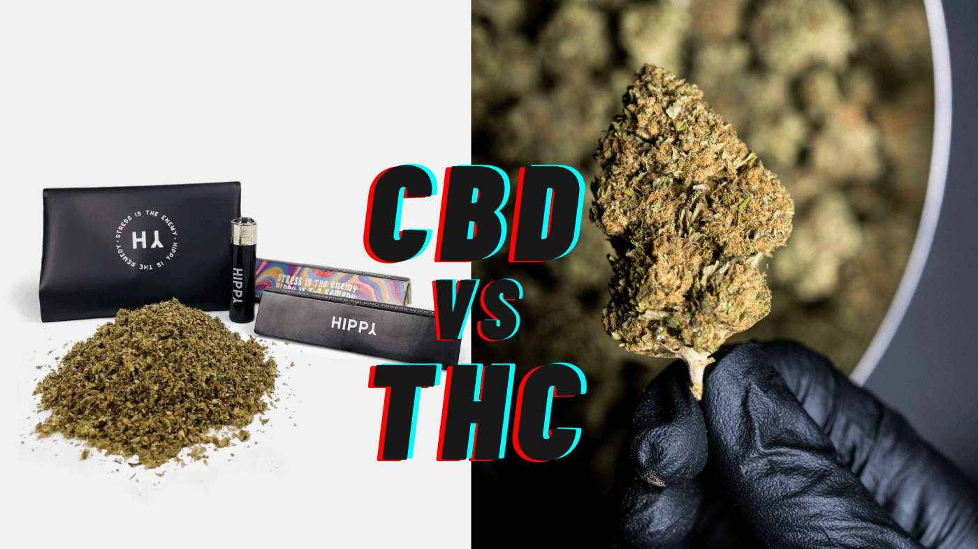 ¿Cuál es la diferencia entre el CBD y el THC?