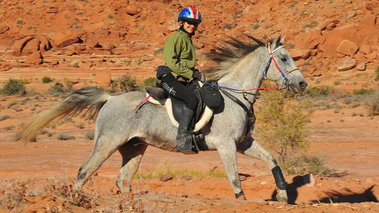 What is Endurance Riding in Horses? – Kerrits Equestrian Apparel