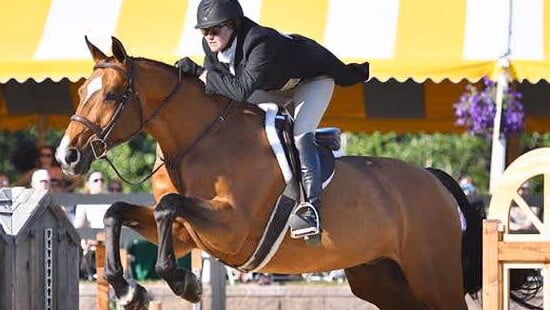 Meet Lauren Schweppe, Hunter/Jumper/EQ & Kerrits Team Rider