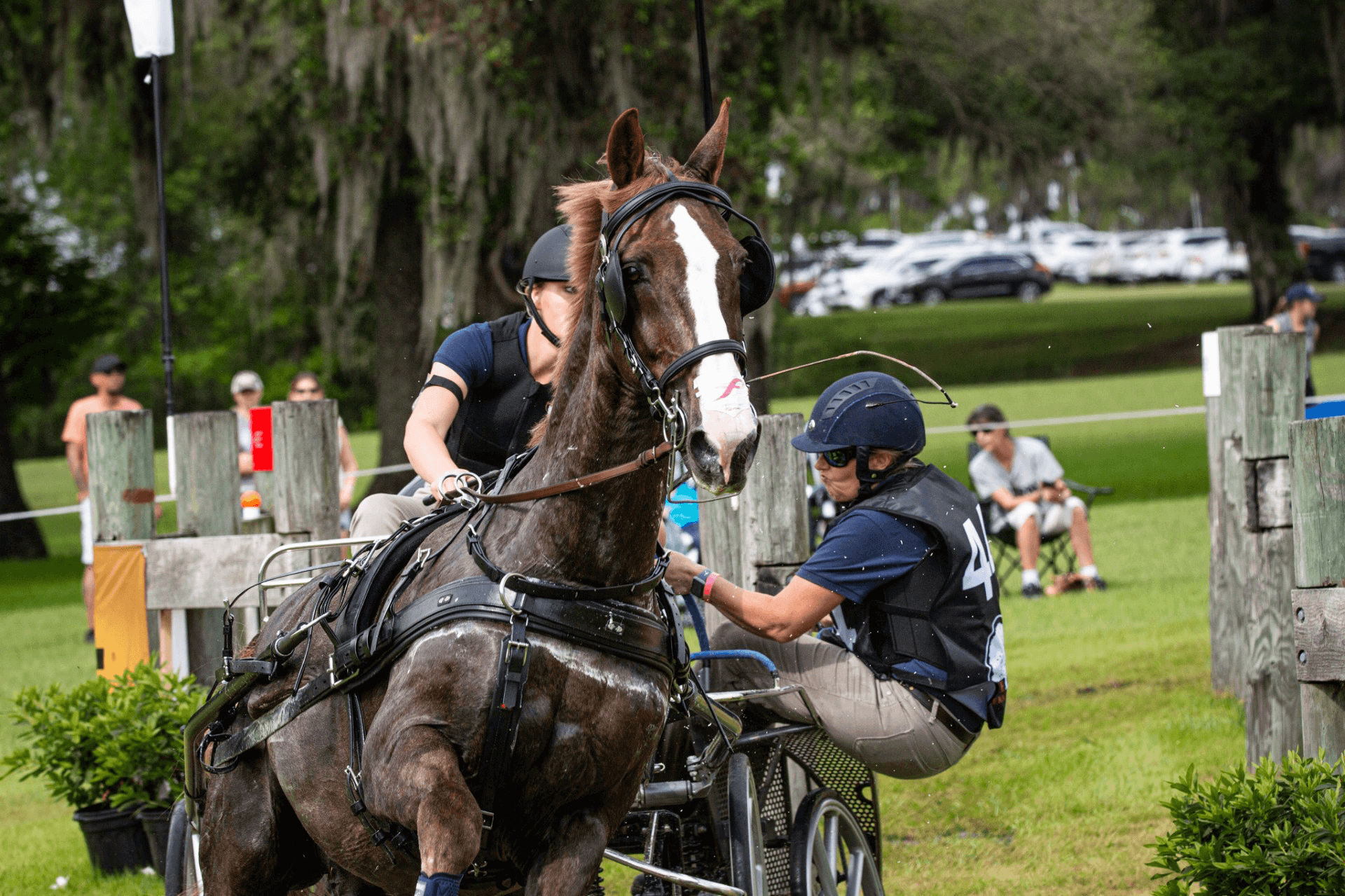 Meet Ryley Miller, FEI 3* Driver & NEW Kerrits Team Rider