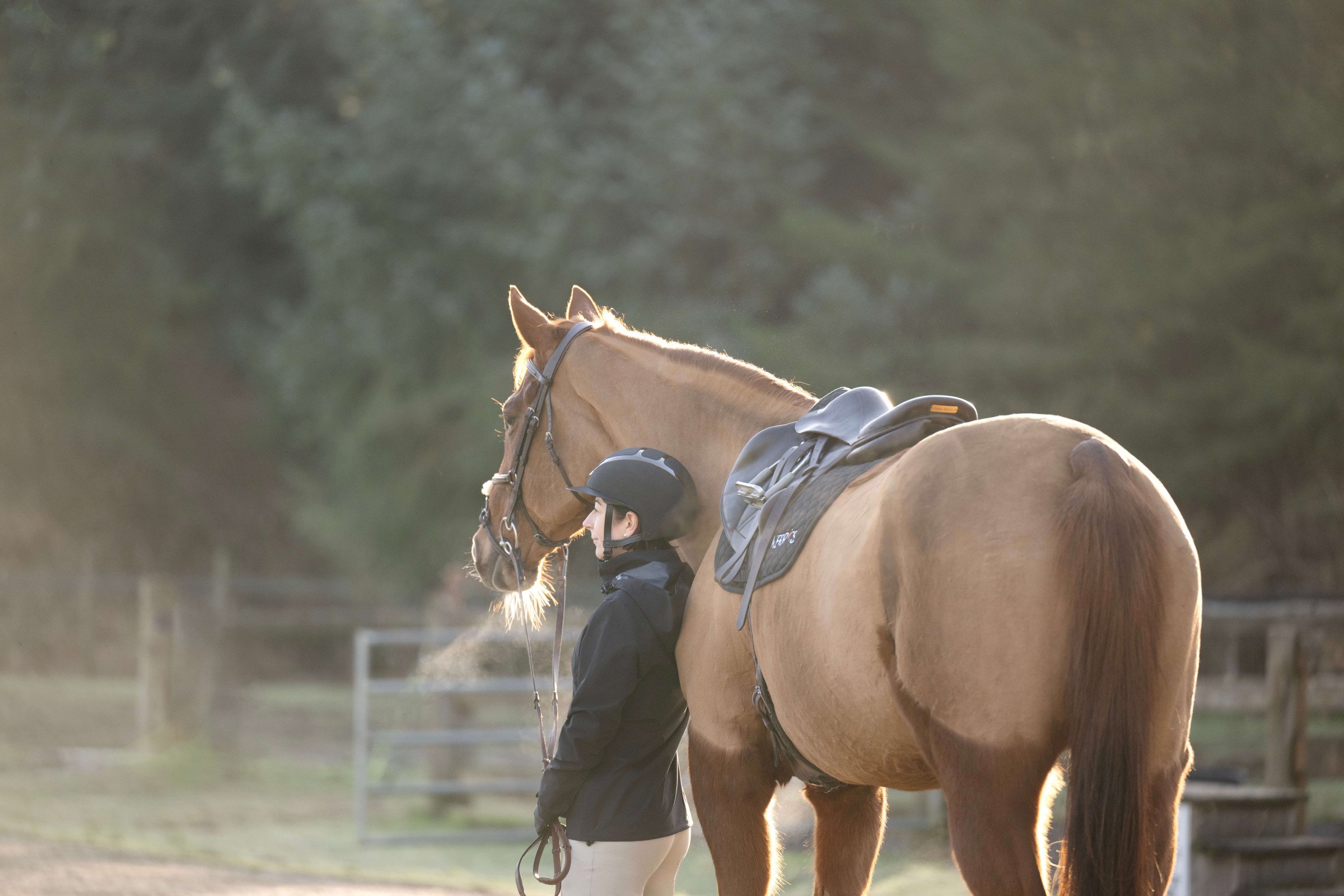 Horseback Riding Goals: Working with Your Trainer