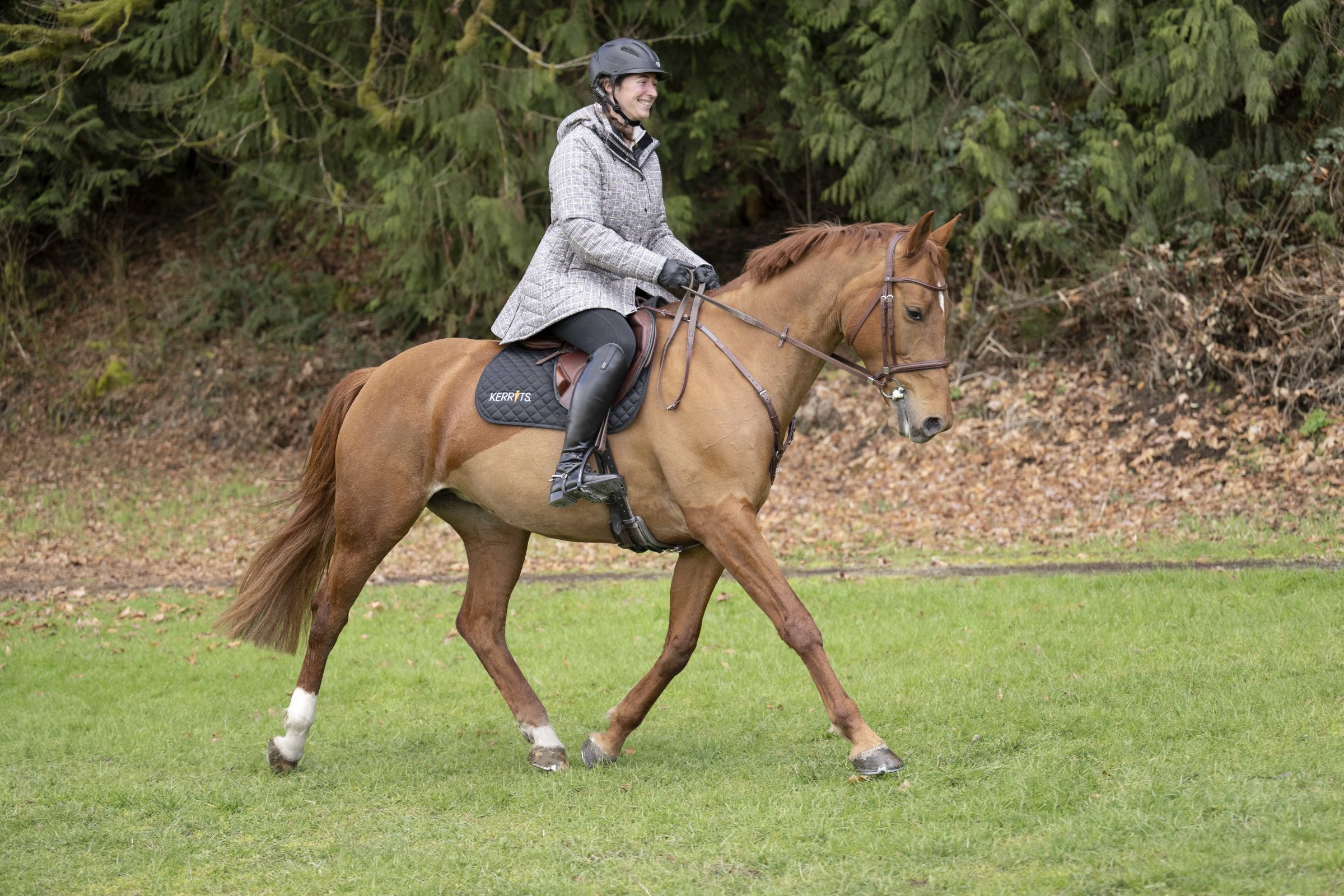 Horseback Riding Goals: Creating Action Items