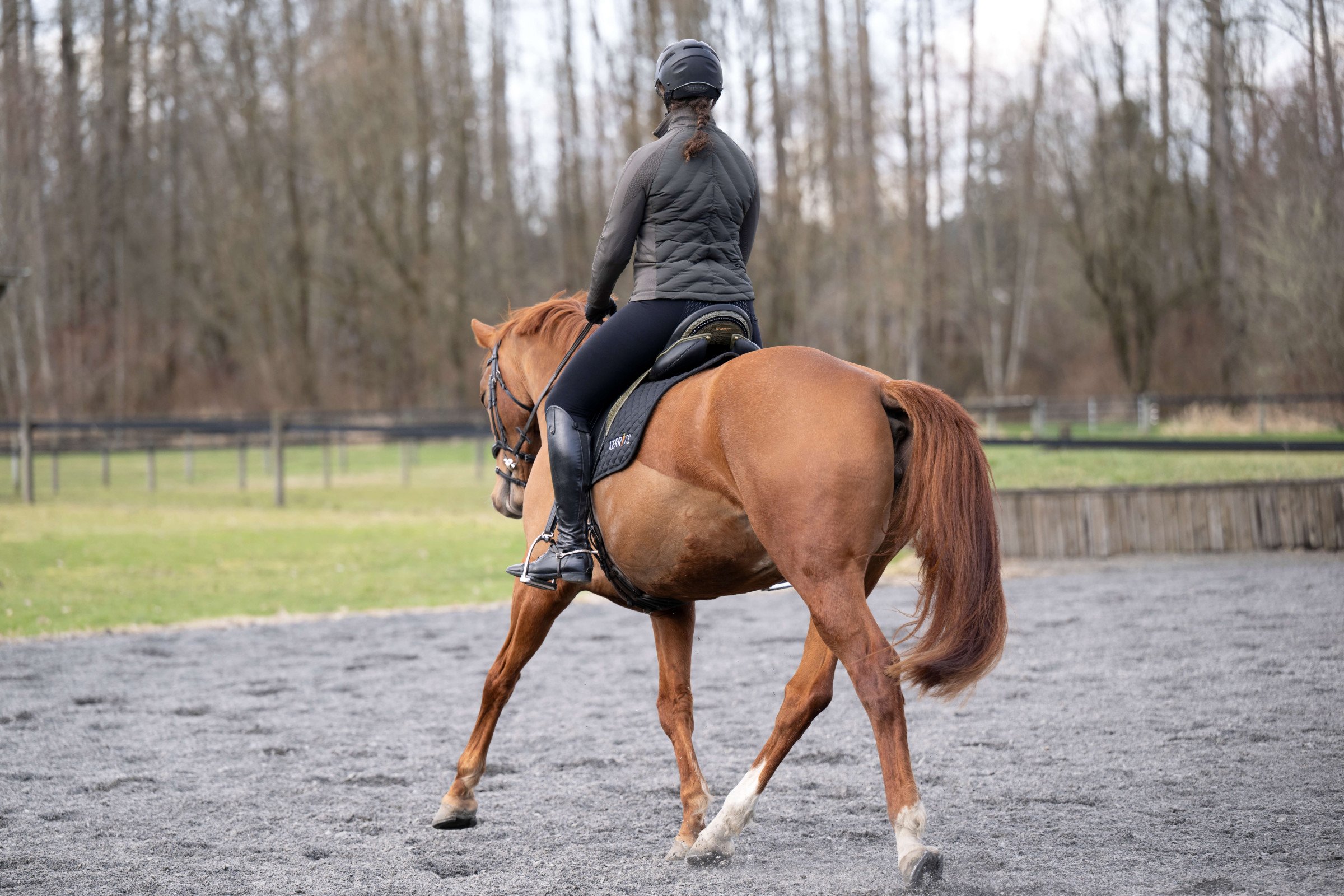 Horseback Riding Goal-Setting: It's Not Just About Ribbons