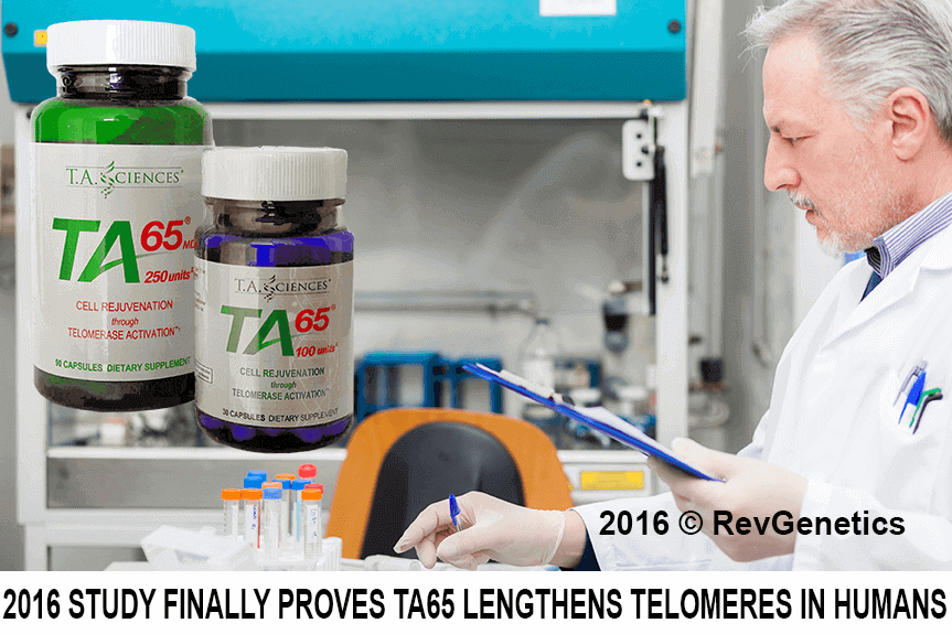 TA-65 clinical trial results showing telomere lengthening in human subjects