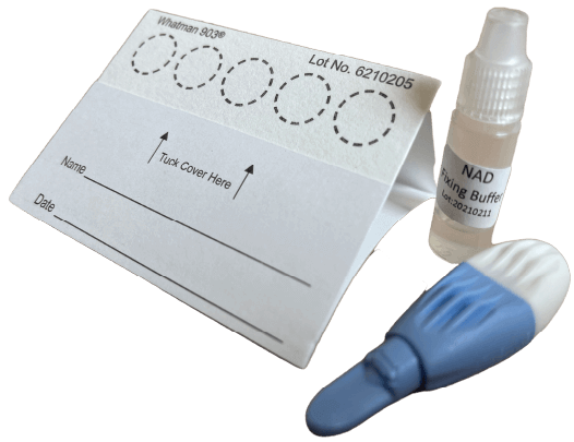 intracellular NAD test