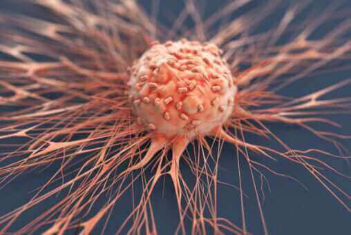 Tumor necrosis factor pathway showing curcumin's anti-inflammatory action