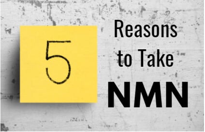 5 Reasons to Take NMN Foods in Your Younger Years