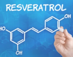 Resveratrol Guide – Part 1