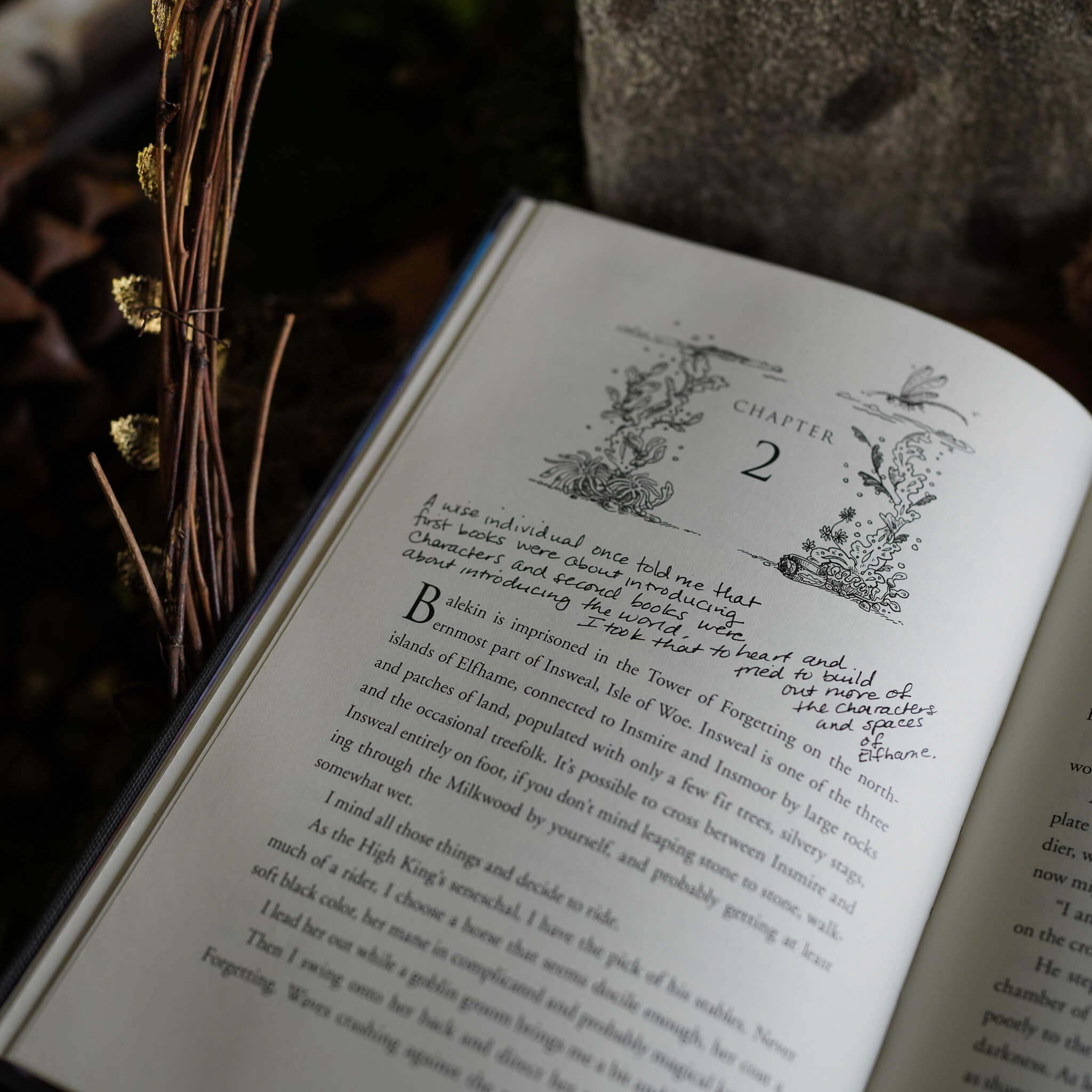 LitJoy Special Edition Features: Author Annotations