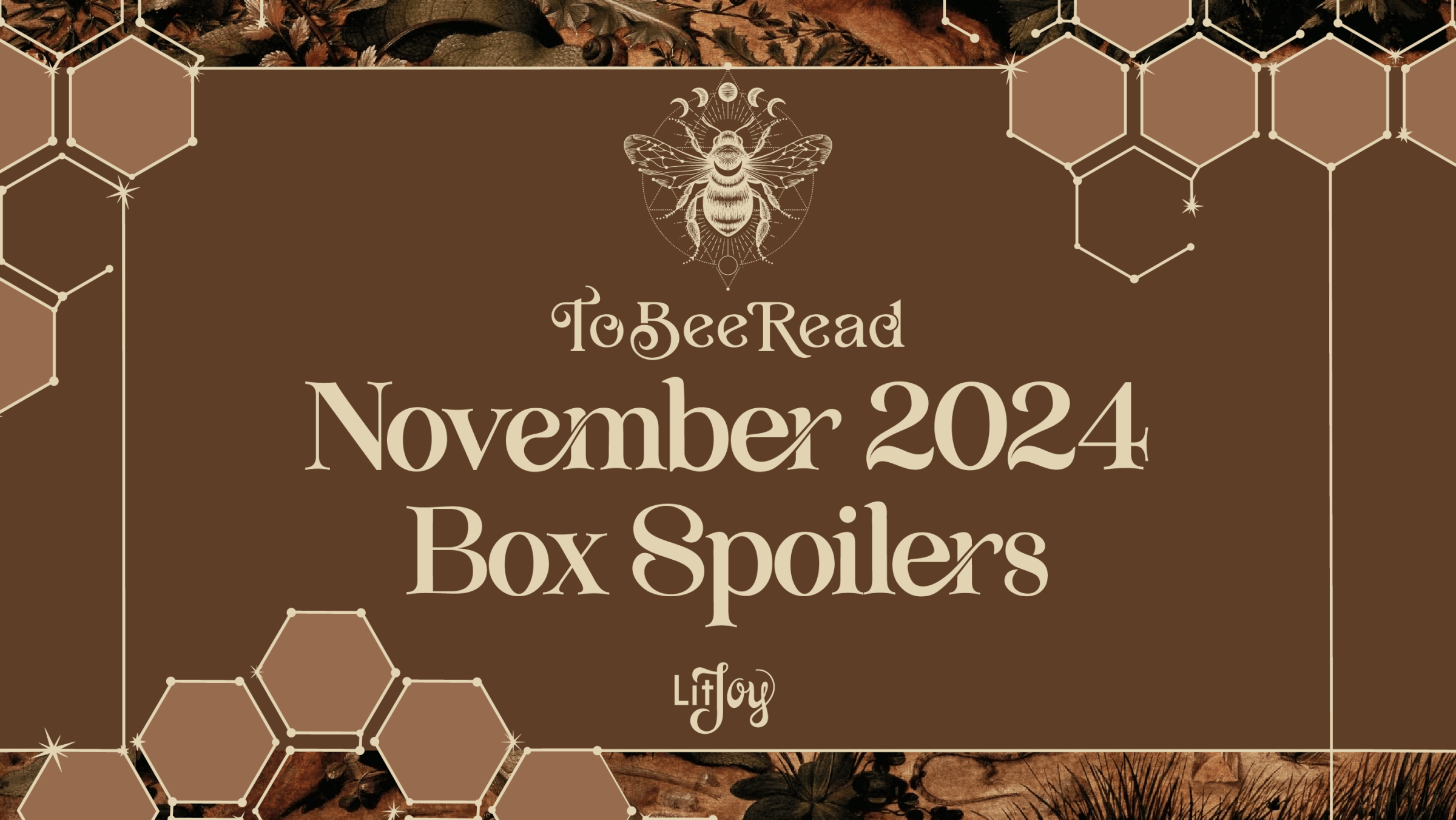 November 2024 To Bee Read Book Box Spoilers