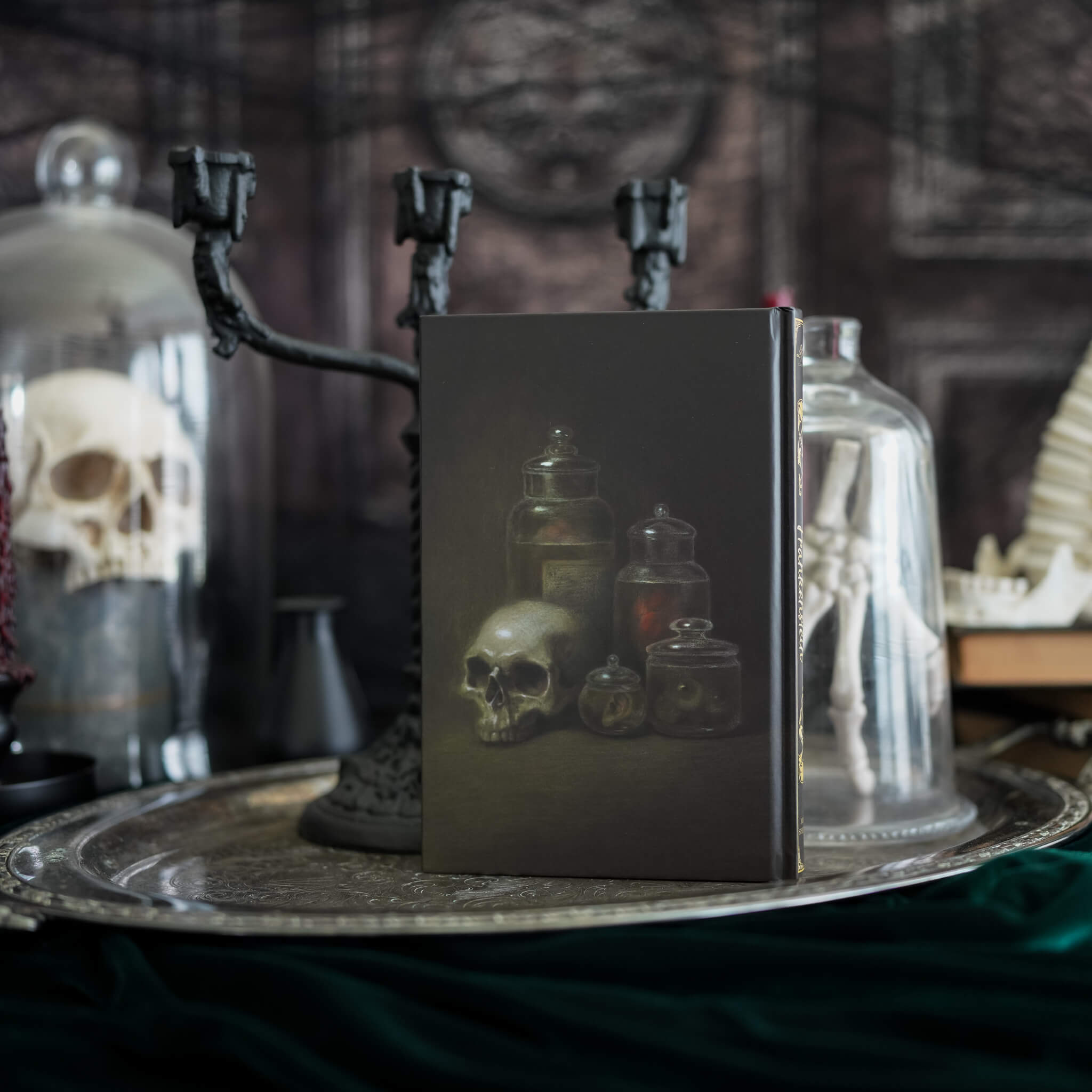 Frankenstein LitJoy Edition back cover with skull and jars