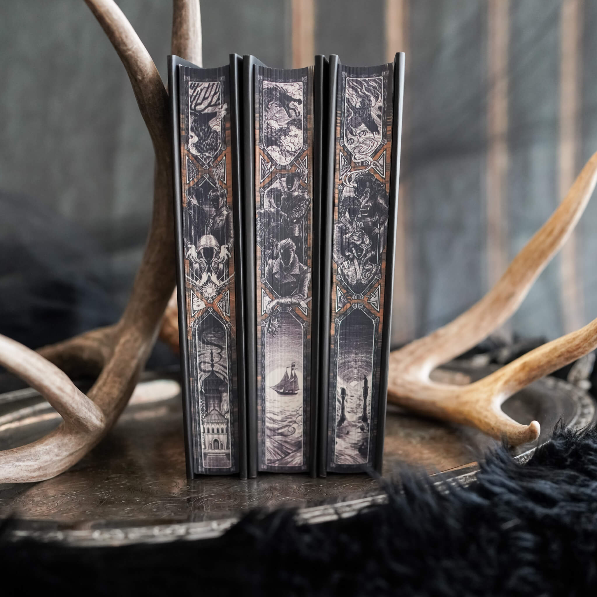 Shadow and Bone Annotated Special Edition Box Set Edges