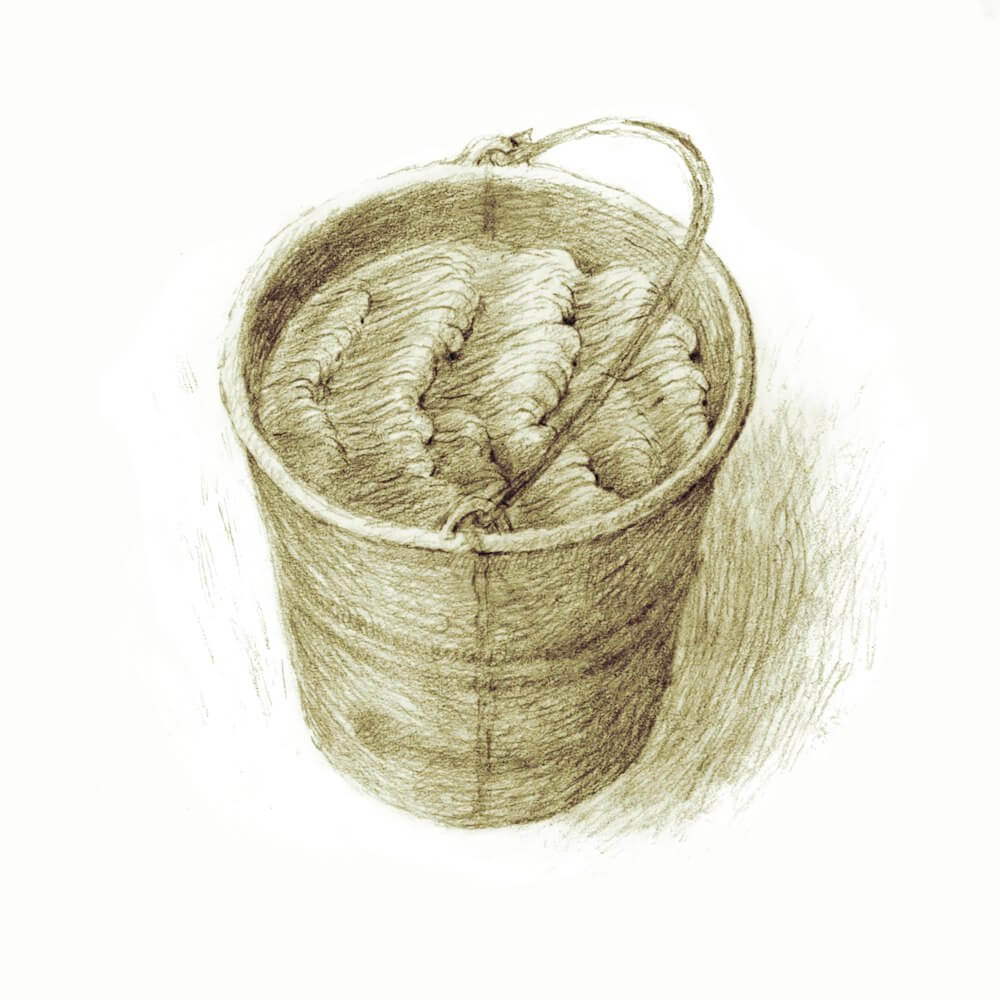 Lettie's ocean in a bucket—Nik Henderson Illustration