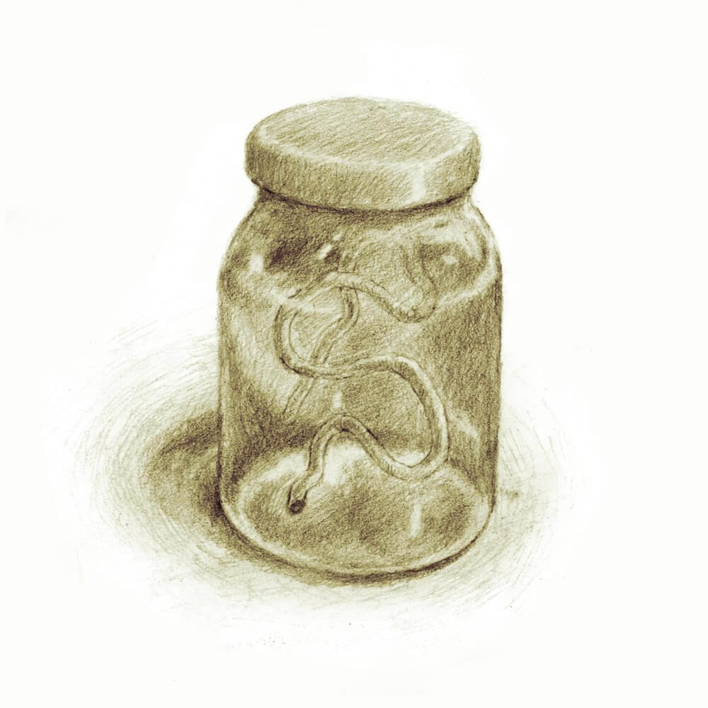 Ursula as a worm in a jar—Nik Henderson art