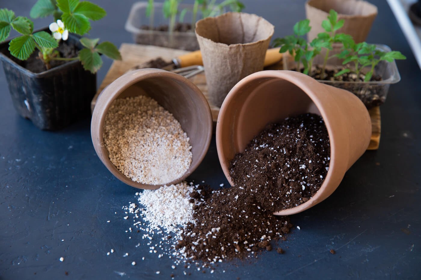 What Is Vermiculite? Grow Plants with this Natural Mineral